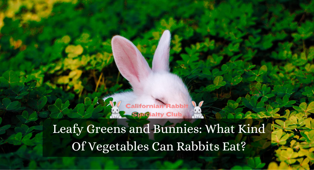 Leafy Greens and Bunnies: What Kind Of Vegetables Can Rabbits Eat?