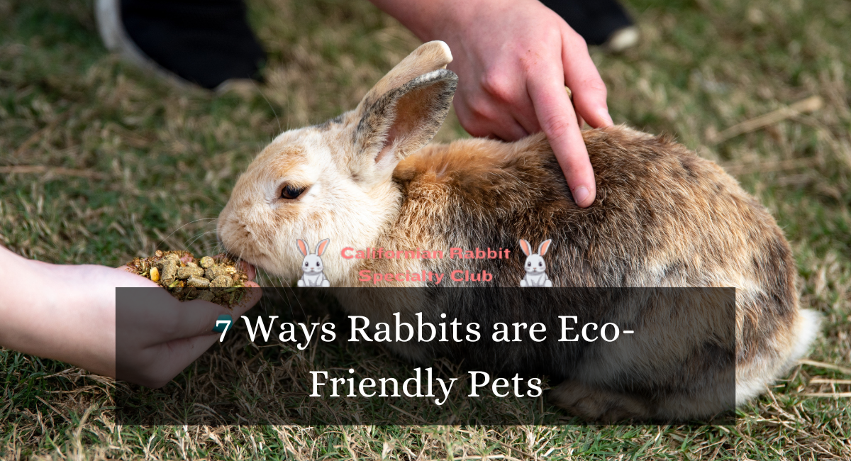 7 Ways Rabbits are Eco-Friendly Pets