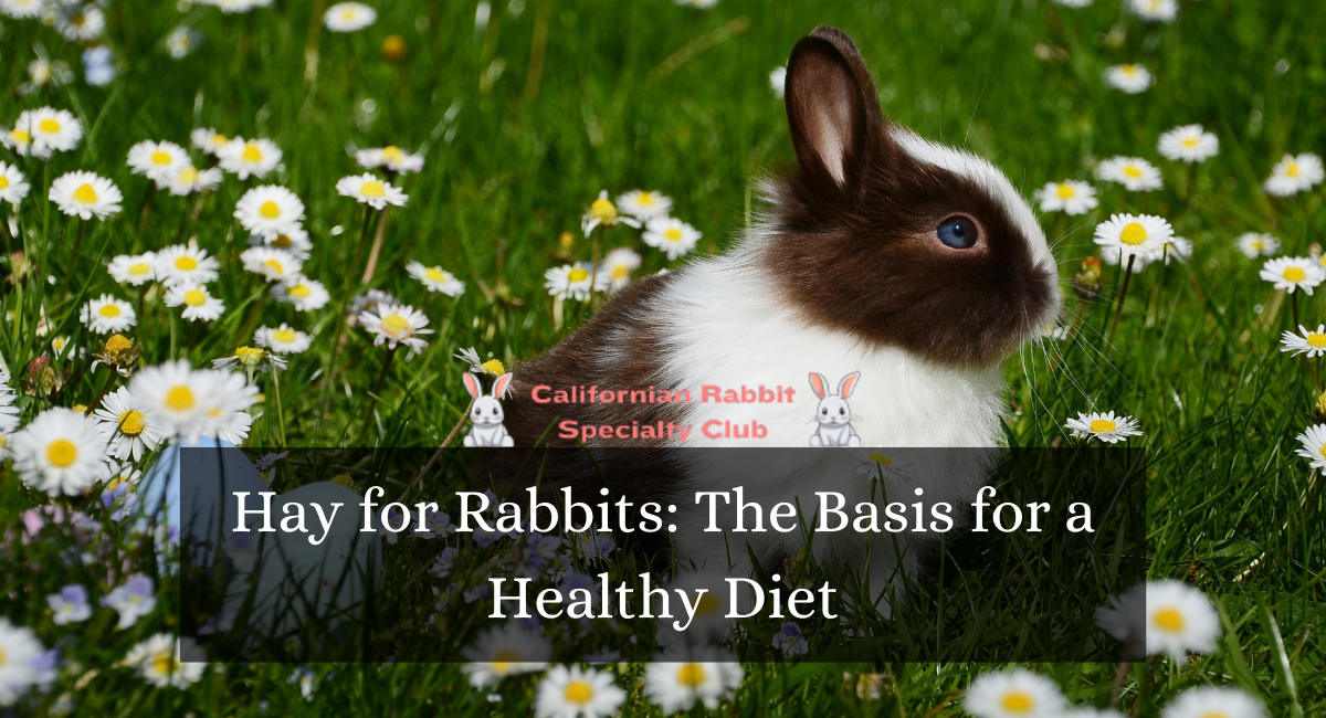 Hay for Rabbits The Basis for a Healthy Diet (2)